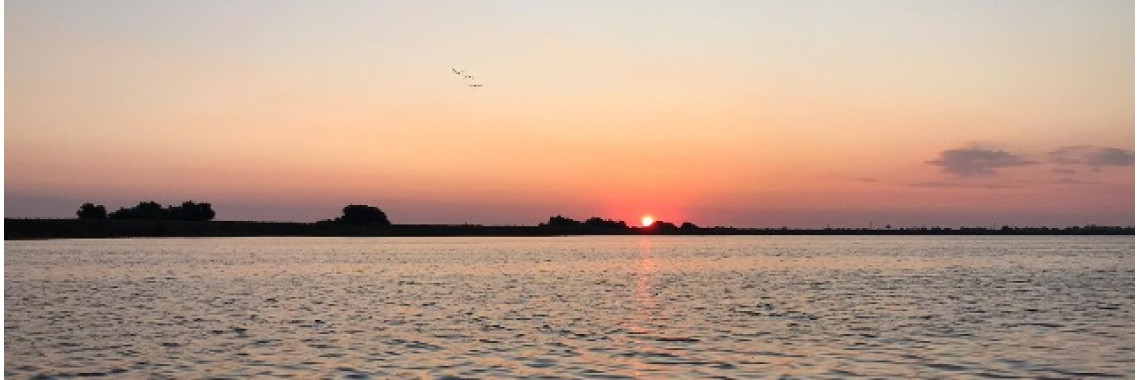 rasarit