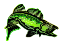 Angler Pro